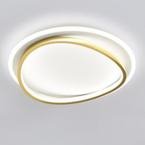 Modern Ceiling Light