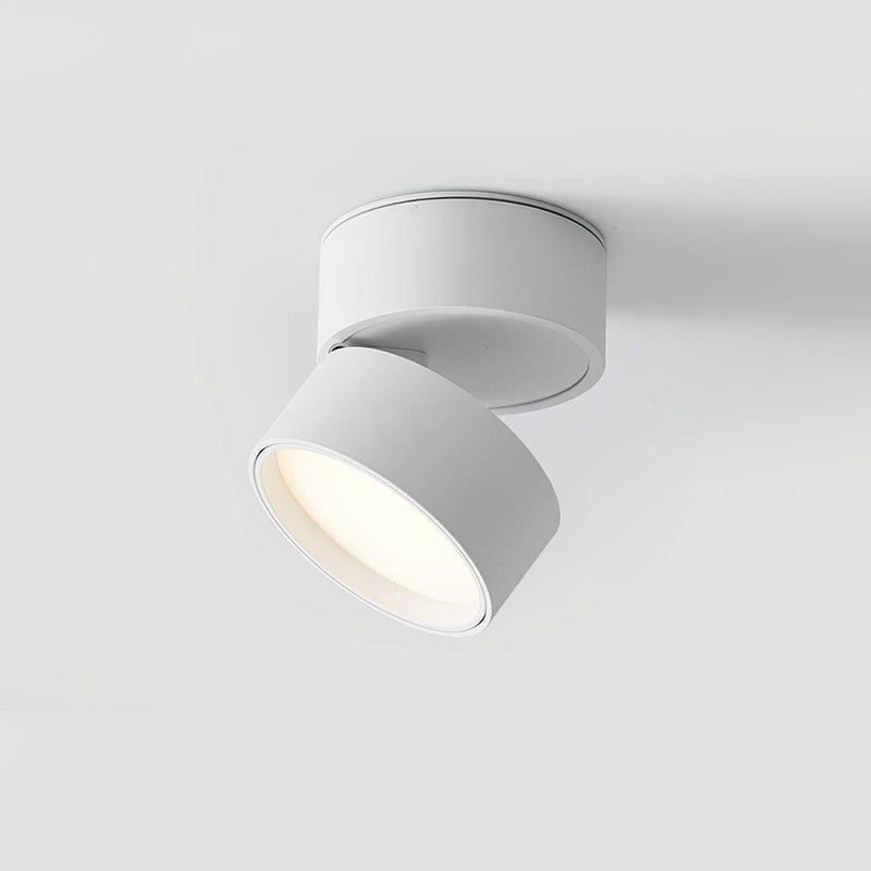 Savvina Surface Ceiling Light