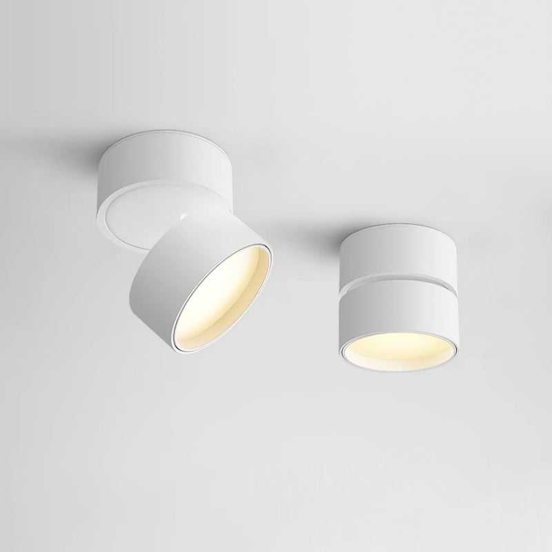 Savvina Surface Ceiling Light