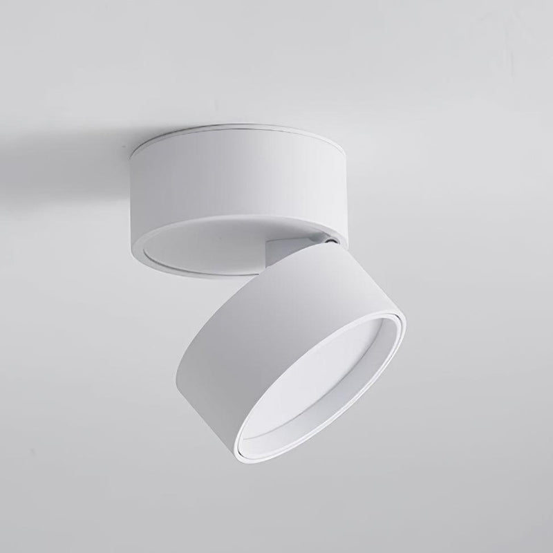 Favilla Surface Ceiling Lamp