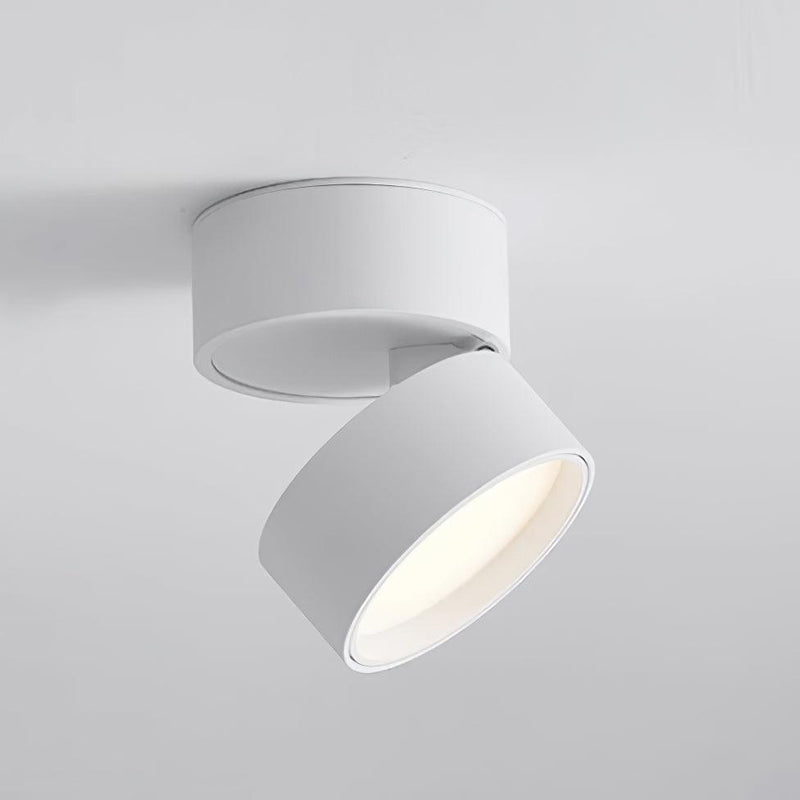 Favilla Surface Ceiling Lamp