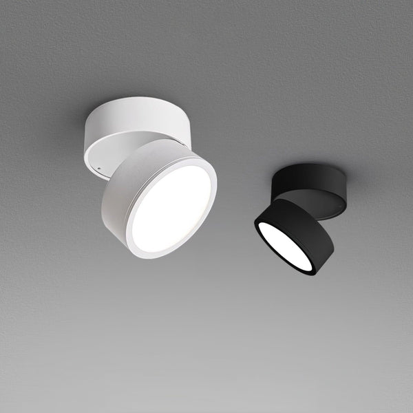 Favilla Surface Ceiling Lamp