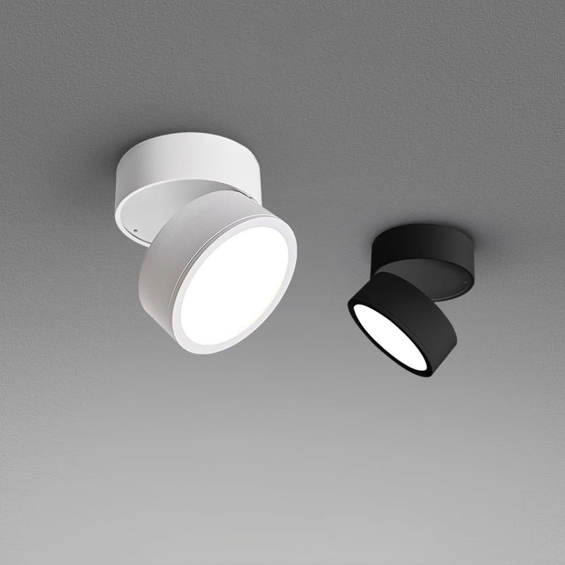 Savvina Surface Ceiling Light