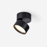 Savvina Surface Ceiling Light