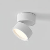 Favilla Surface Ceiling Lamp