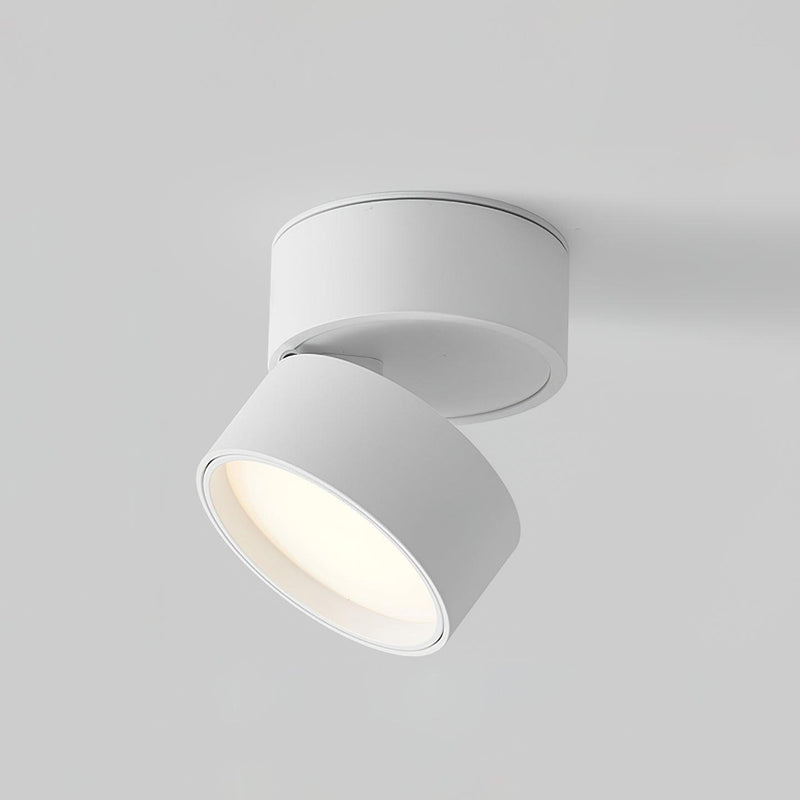 Savvina Surface Ceiling Light