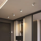 Savvina Surface Ceiling Light