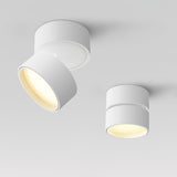 Favilla Surface Ceiling Lamp