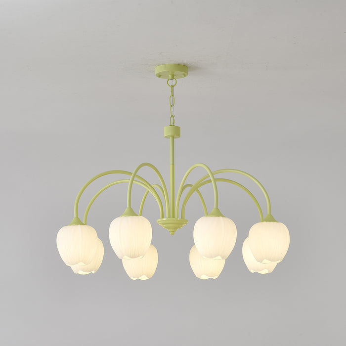 Tulip Matcha Chandelier