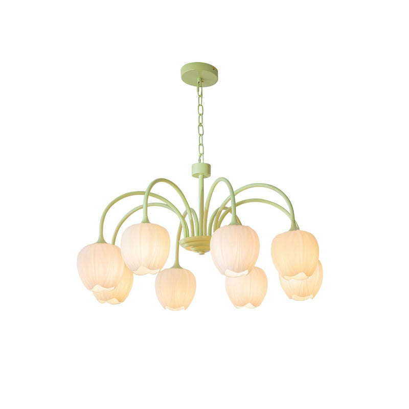 Tulip Matcha Chandelier