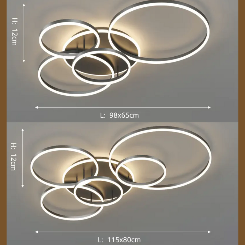 Modern Ceiling Light Black