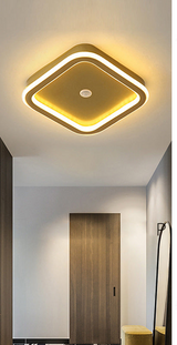 Human PIR Motion Sensor LED Ceiling Light