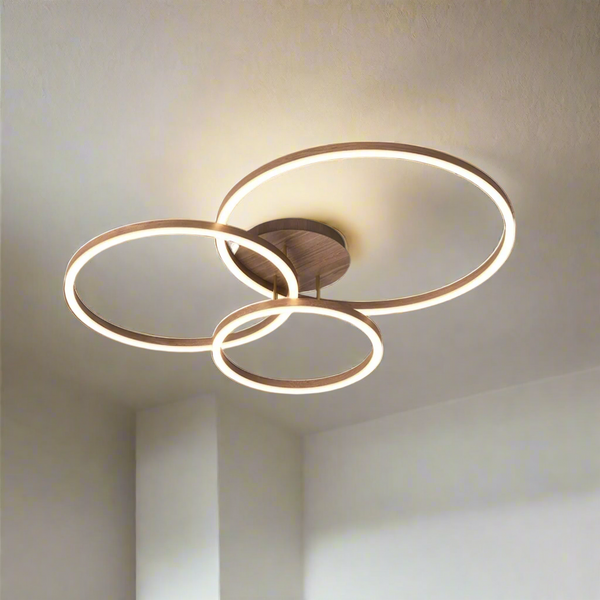 Elegant Ring Ceiling Luminaire